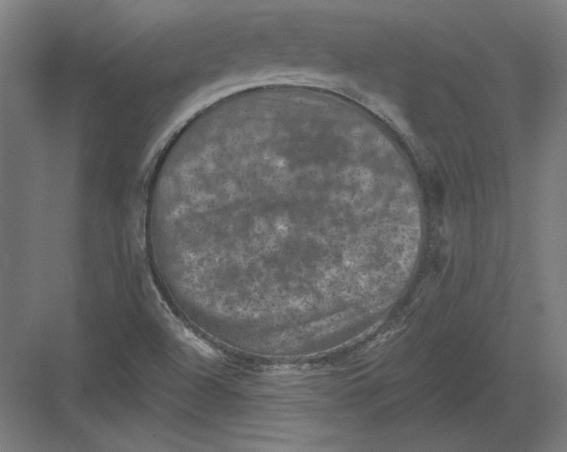 X0000082181504200702092256