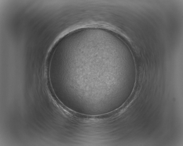 X0000082181506200702092256