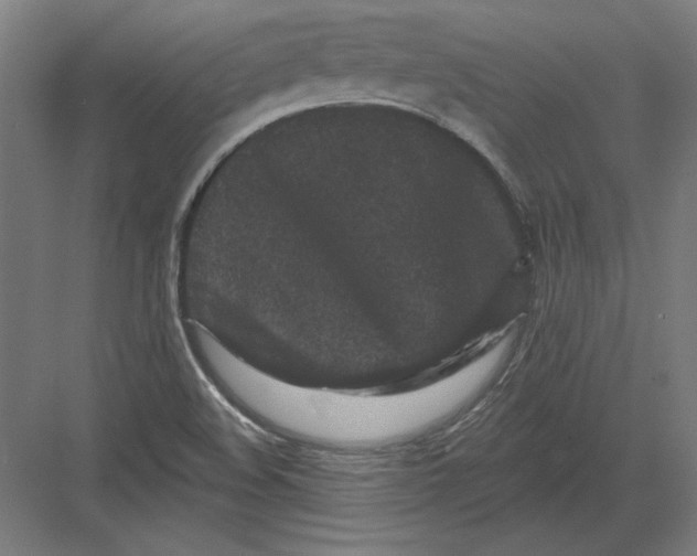 X0000082181508200702092256