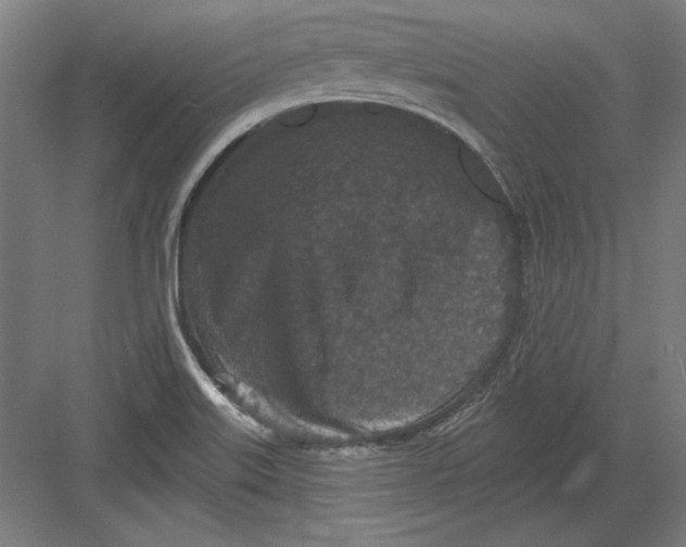 X0000082181515200702092256