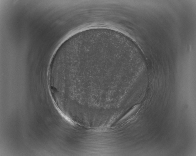 X0000082181519200702092256