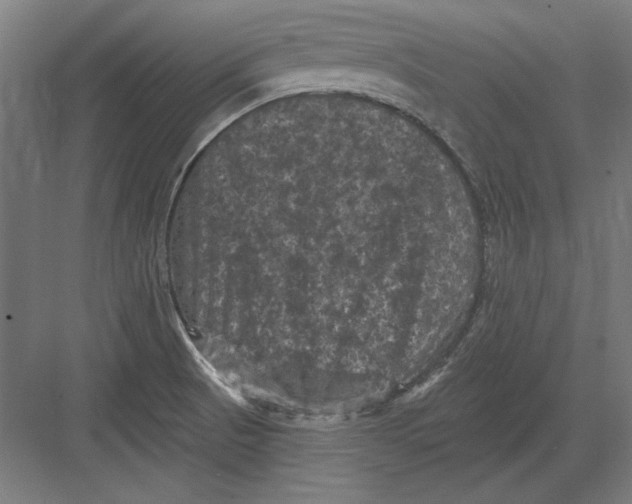 X0000082181521200702092256