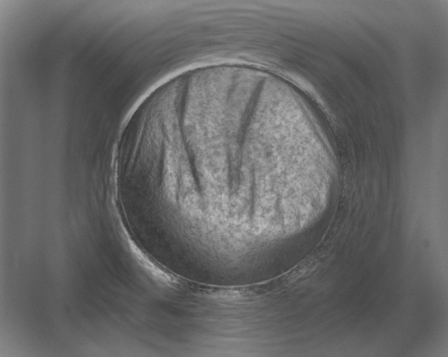 X0000082181524200702092256