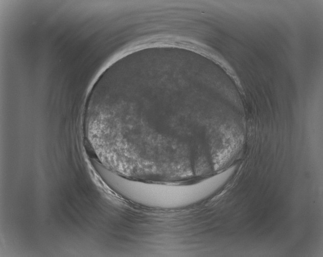 X0000082181530200702092256