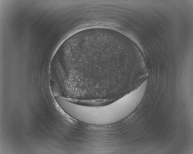 X0000082181532200702092256