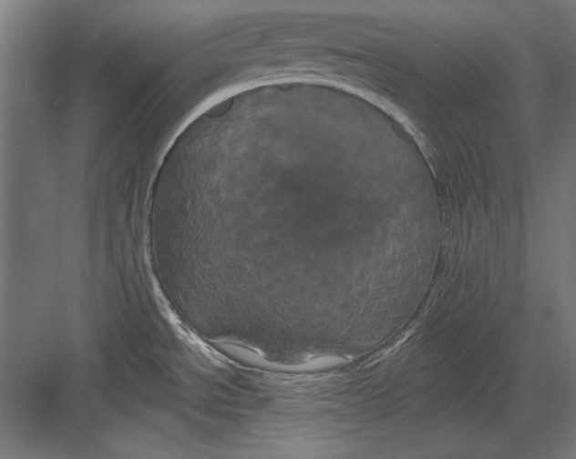 X0000082181534200702092256