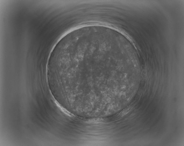 X0000082181535200702092256