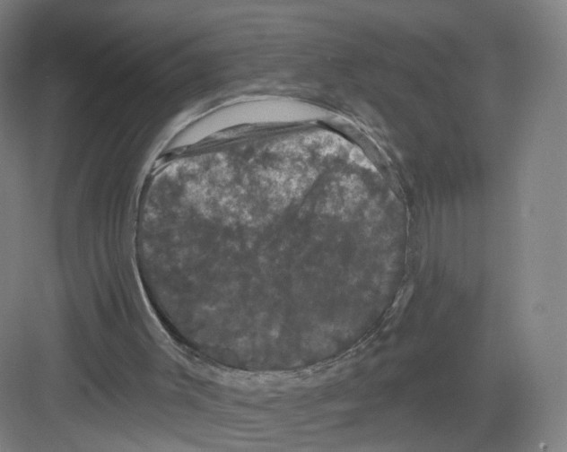 X0000082180003200702162338