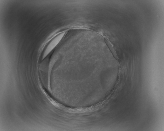 X0000082180005200702162338