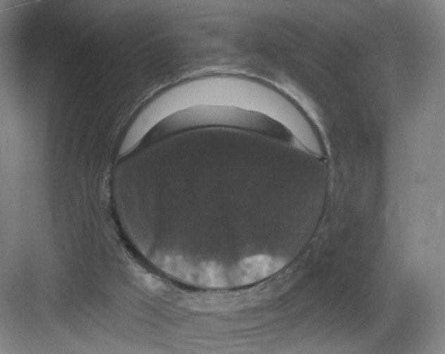 X0000082180009200702162338