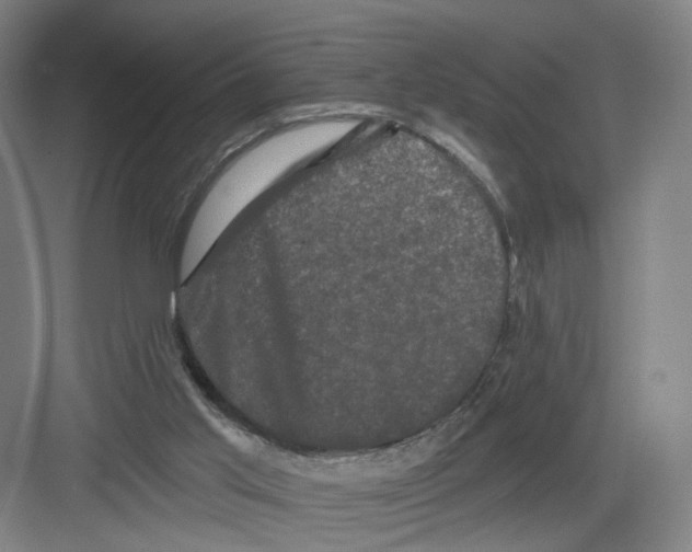 X0000082180013200702162338