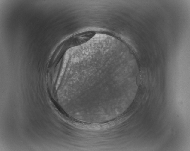 X0000082180015200702162338