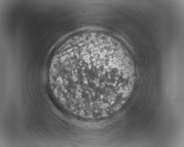 X0000082180016200702162338