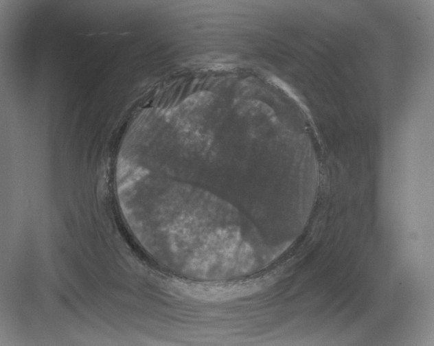 X0000082180018200702162338