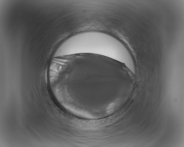 X0000082180019200702162338