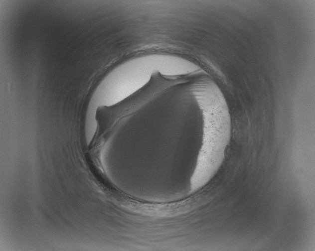 X0000082180023200702162338