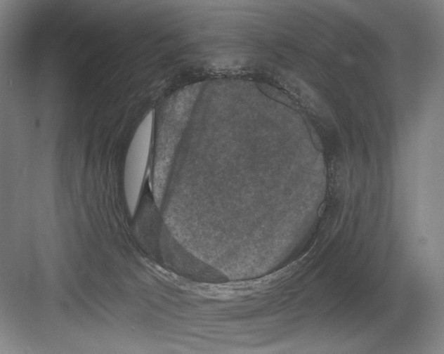 X0000082180033200702162338
