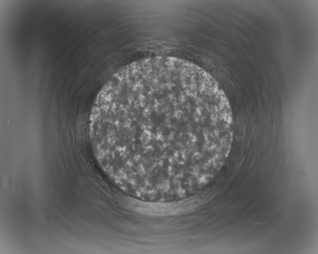 X0000082180034200702162338