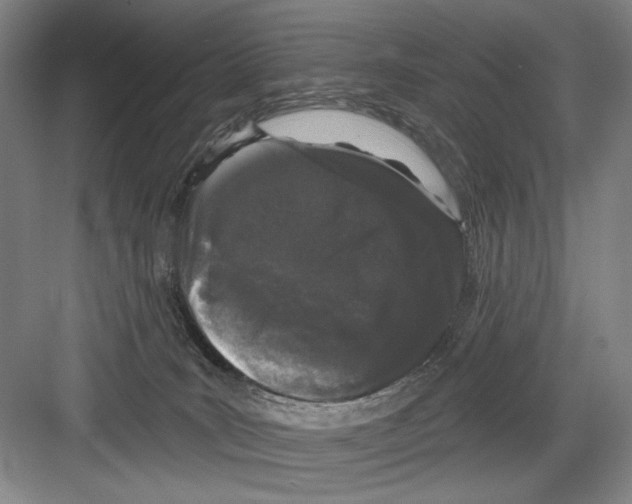 X0000082180035200702162338
