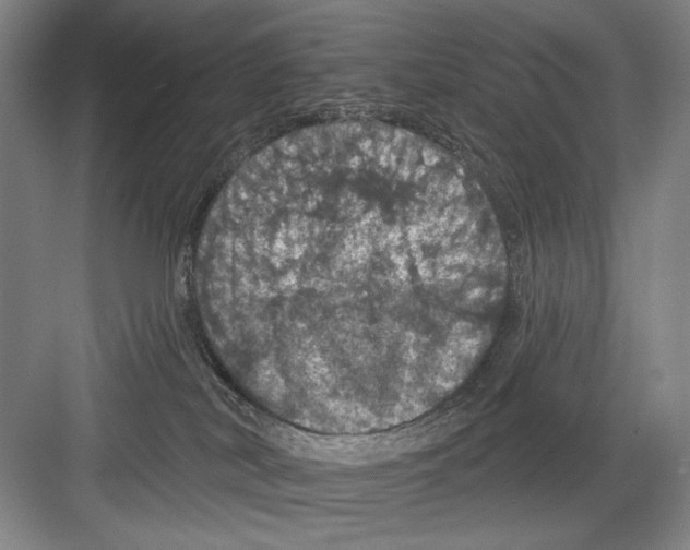 X0000082180038200702162338