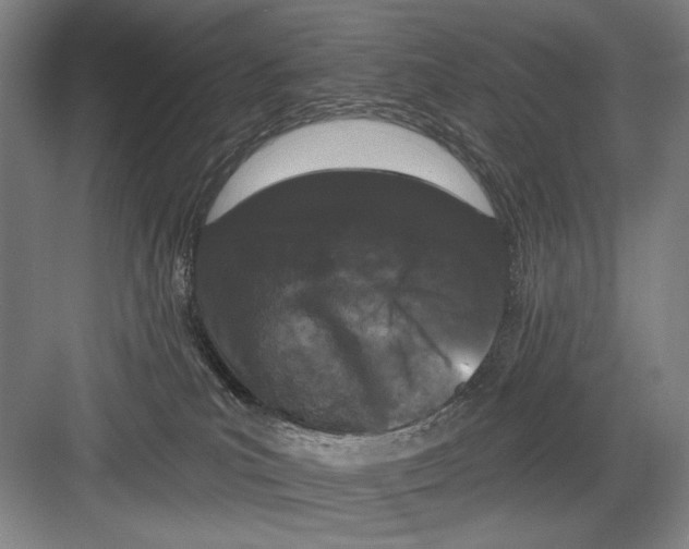 X0000082180039200702162338