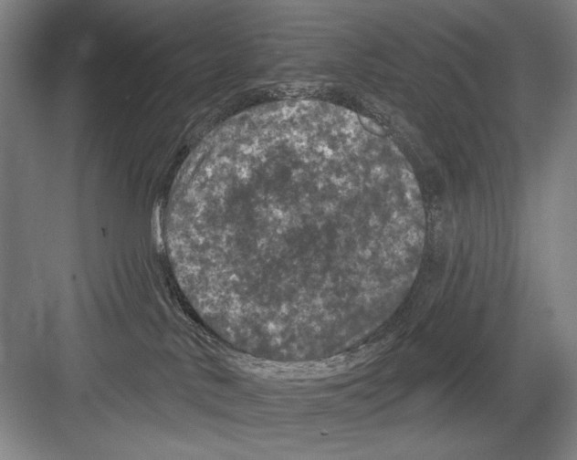 X0000082180042200702162338