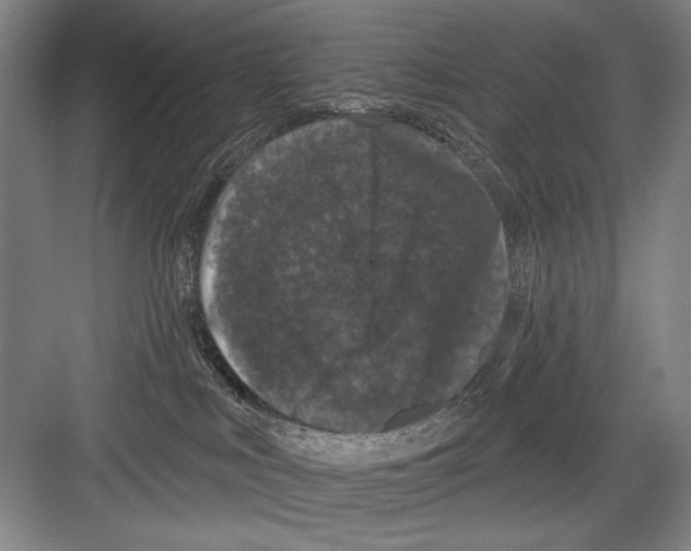 X0000082180043200702162338