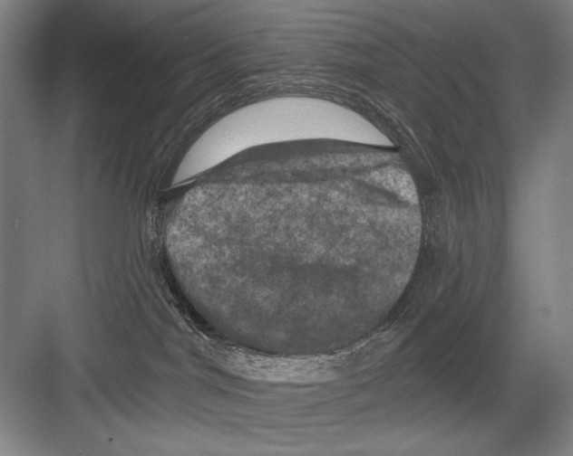 X0000082180044200702162338