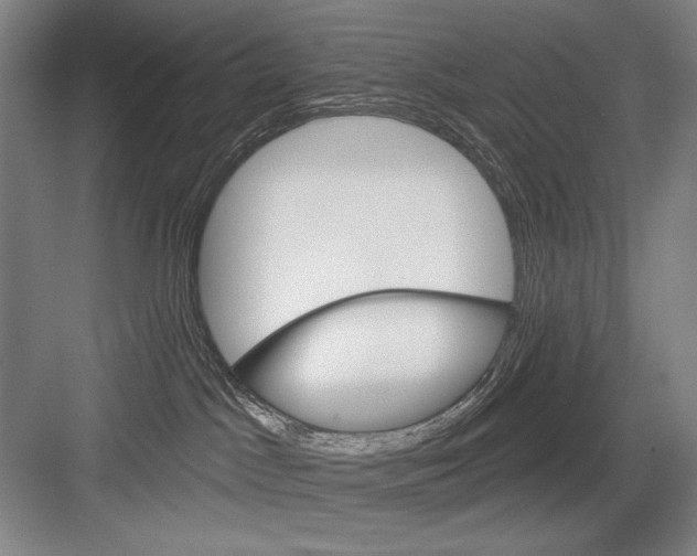 X0000082180045200702162338