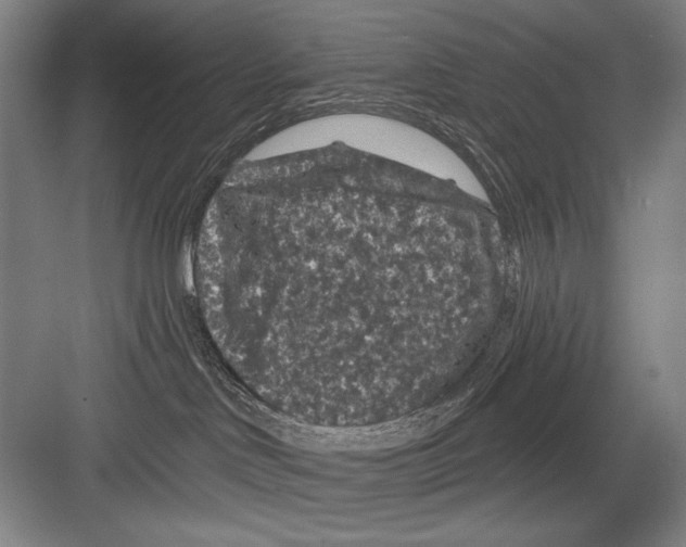 X0000082180046200702162338