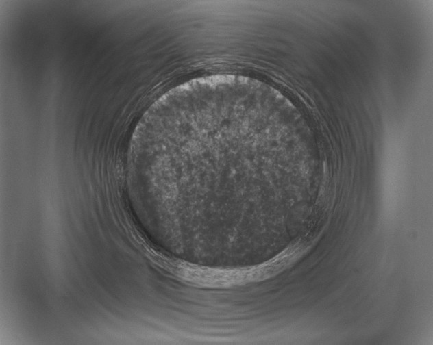 X0000082180048200702162338