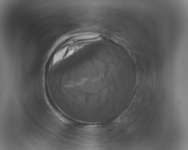 X0000082180054200702162337