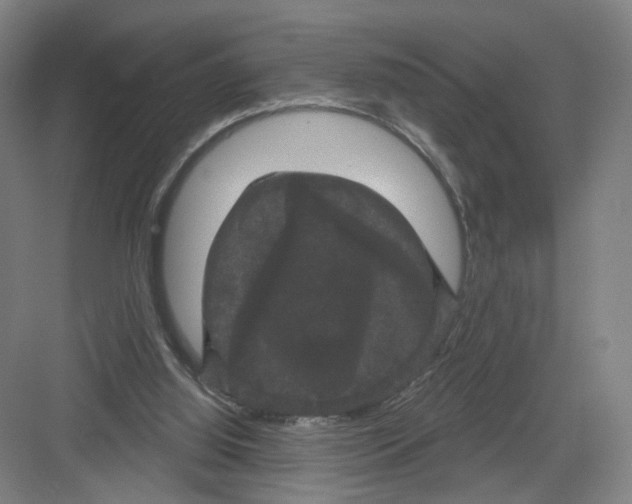 X0000082180060200702162337