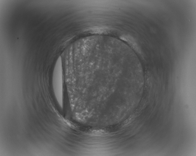 X0000082180066200702162337