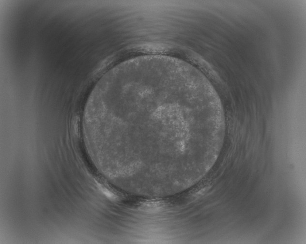X0000082180071200702162337