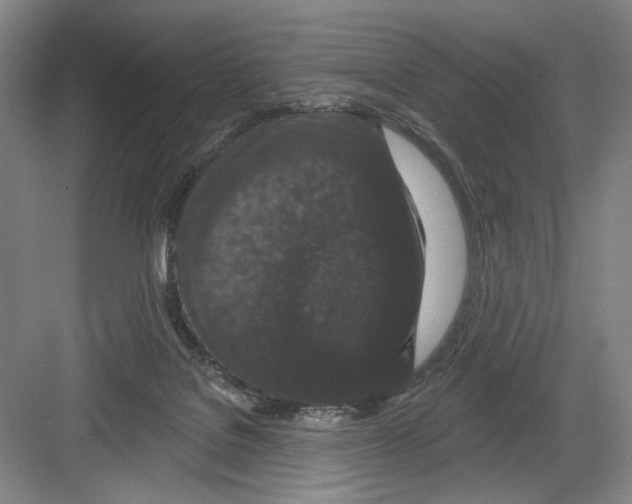 X0000082180076200702162337