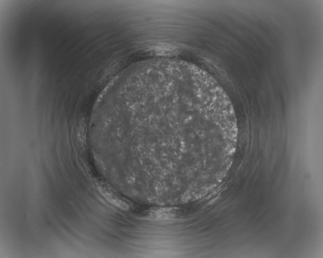 X0000082180078200702162337