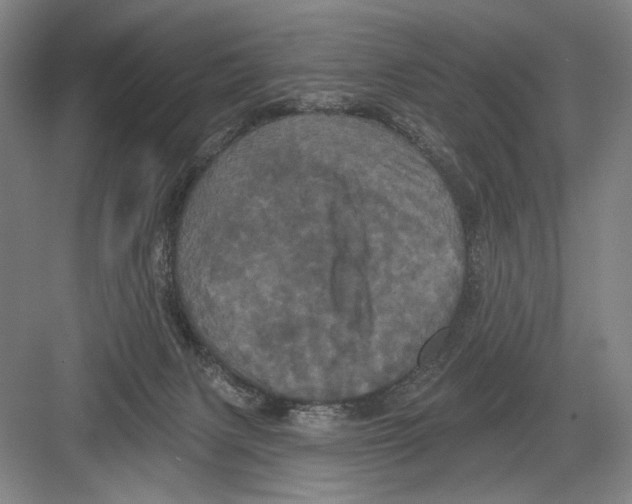 X0000082180079200702162337