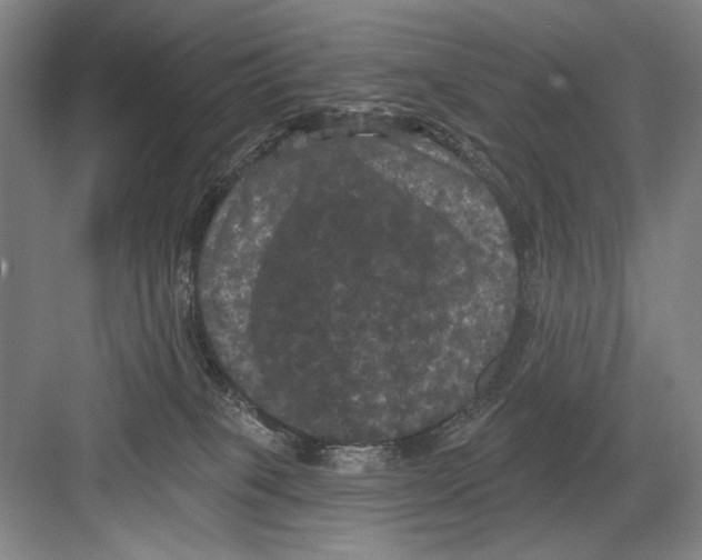 X0000082180085200702162338