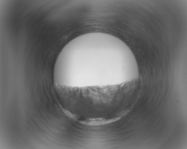 X0000082180089200702162338