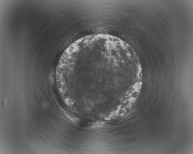 X0000082180090200702162338