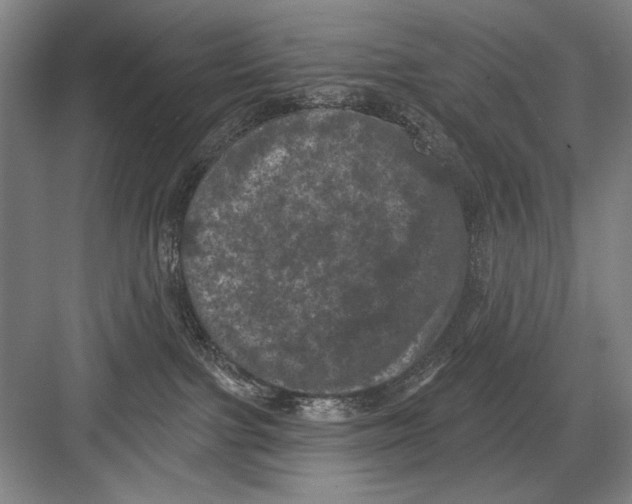 X0000082180091200702162338