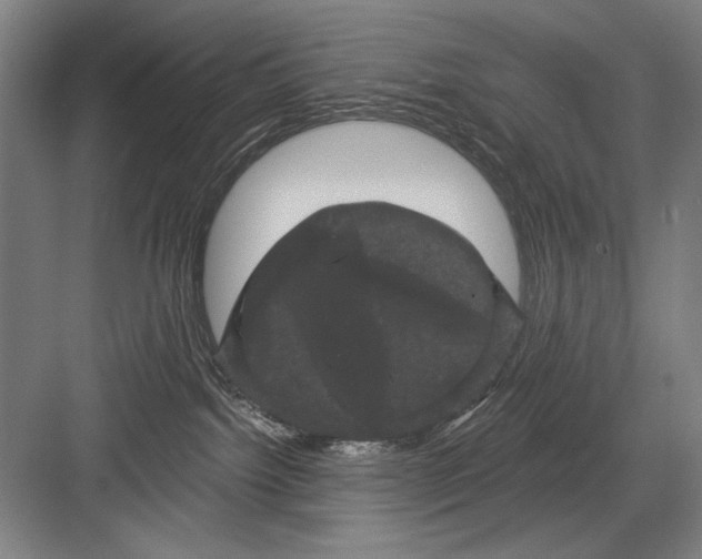 X0000082180092200702162338
