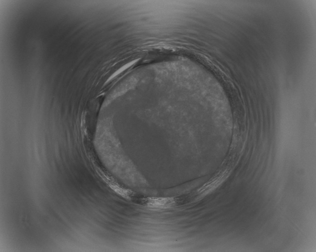 X0000082180096200702162338
