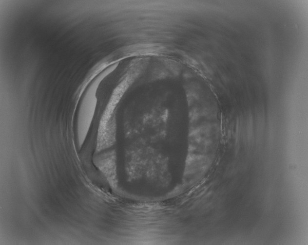 X0000082180099200702162337