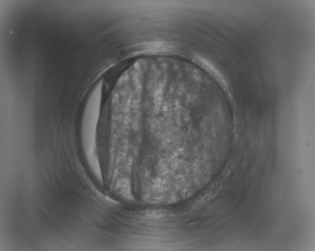 X0000082180105200702162337