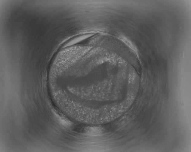 X0000082180107200702162337
