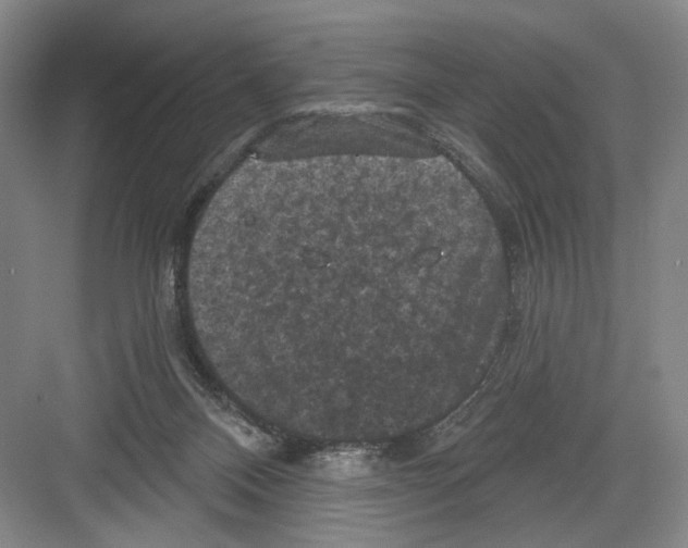 X0000082180120200702162337