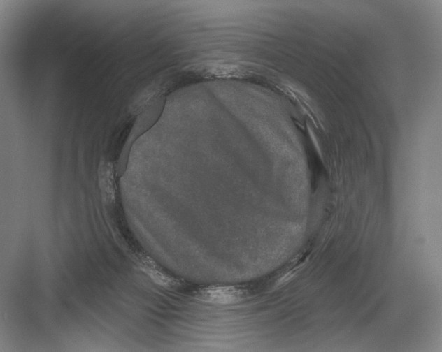 X0000082180121200702162337