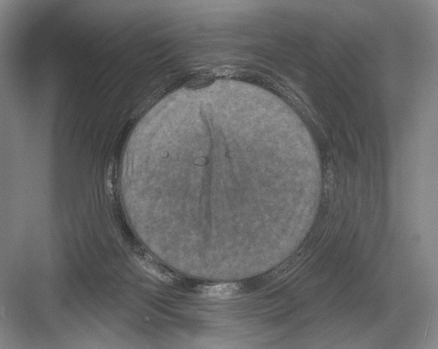 X0000082180122200702162336